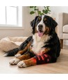Lysterapi wrap til hund eller kat - Infrarød, Batteri