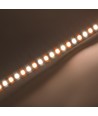 10m 8,5W/m CCT LED strip RA93 - 24V DC, IP20, 192 LED pr. meter