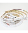 5m RGBWIC COB LED strip - 24V DC, 784 LED 20W/m, IP20