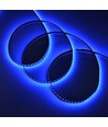 5m 10W/m UV 400 nm LED strip - 24V DC, IP20, 120 LED pr. meter