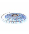 RGB+WW sæt: 5m LED strip, 60 LED, 10,8w, kontroller og transformator