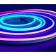 10m 16W/m RGBIC Neon Flex strip - 24V DC, IP20, 96 LED pr. meter, 8x16