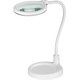 LED luplampe m/svanehals 6W - Hvid, bordlampe, klemme og fod
