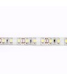 5m 4,2W/m stænktæt LED strip - 12V DC, IP65, 60 LED pr. meter