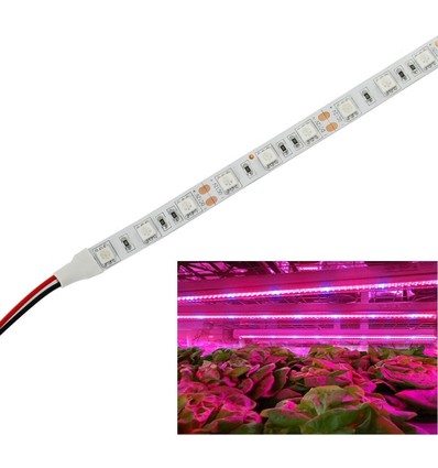 9,6W/m stænktæt vækst LED strip - 5m, 60 LED pr. meter, IP65