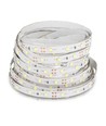 5m 4,2W/m LED strip - 12V DC, 60 LED pr. meter