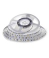 5m 4,8W/m LED strip - IP20, 30 LED pr. meter