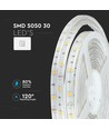 5m 4,8W/m stænktæt LED strip - IP65, 30 LED pr. meter