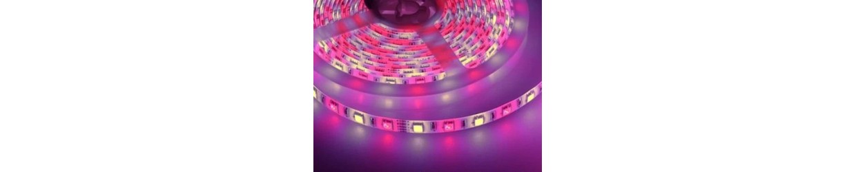 RGB+W LED strips