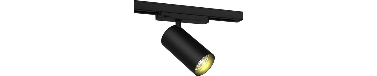 LED Skinnespots