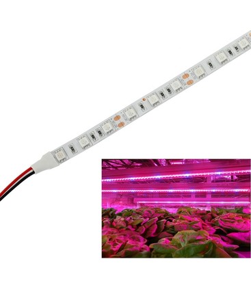 Stemningsfuld belysning med LED strips i et moderne hjem